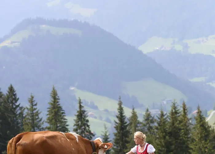 公寓 Alm - Au Hochalm 瑟尔