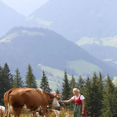 Lägenhet Alm - Au Hochalm Söll